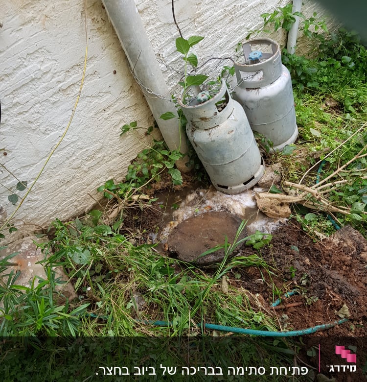 צינור מים ירוק על הקרקע ליד קיר